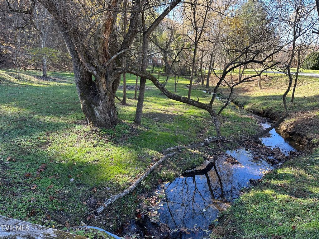 Photo of 29184 Tobias Drive, Meadowview, VA 24361 (MLS # 9988084)