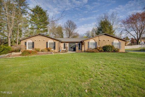 1019 Somerset Drive Johnson City TN 37604