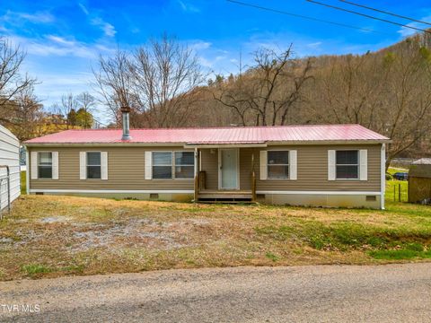 Homes For Sale - 108 Canah Hollow Road<br/> Unicoi County, Erwin, TN 37650