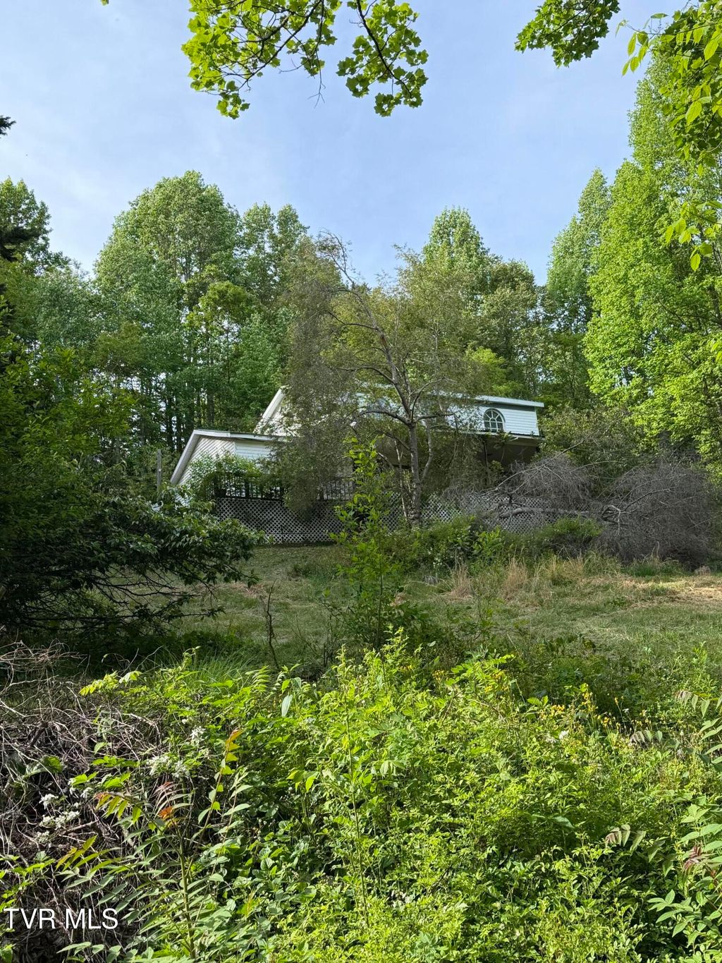 Photo of 16135 Pocahontas Trail, Meadowview, VA 24361 (MLS # 9995113)