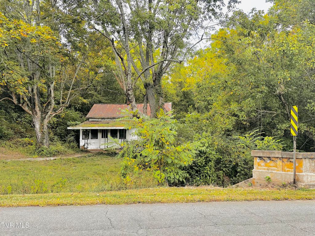 Photo of 938 Old Newport Highway, Greeneville, TN 37743 (MLS # 9985416)