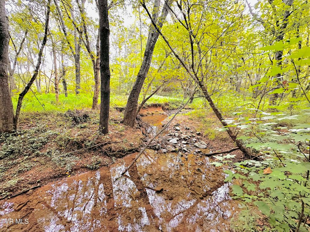 Photo of 938 Old Newport Highway, Greeneville, TN 37743 (MLS # 9985416)