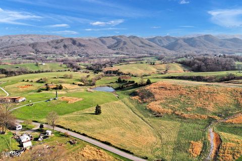 Vacant Land For Sale - 356 Laws Road<br/> Washington County, Limestone, TN 37681