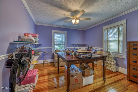 Tiny photo for 1505 W Lakeview Drive, Johnson City, TN 37601 (MLS # 9986476)
