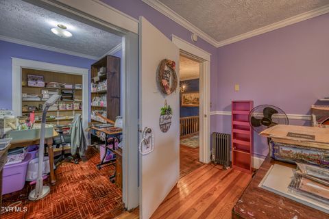 Tiny photo for 1505 W Lakeview Drive, Johnson City, TN 37601 (MLS # 9986476)