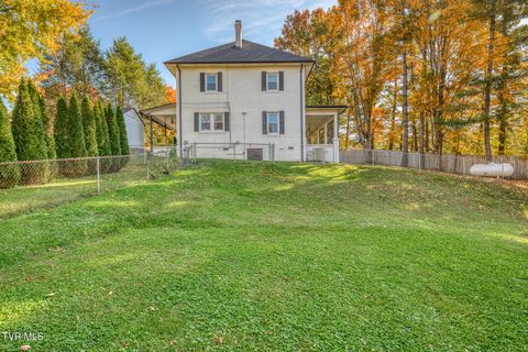 Tiny photo for 1505 W Lakeview Drive, Johnson City, TN 37601 (MLS # 9986476)