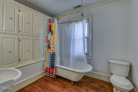 Tiny photo for 1505 W Lakeview Drive, Johnson City, TN 37601 (MLS # 9986476)