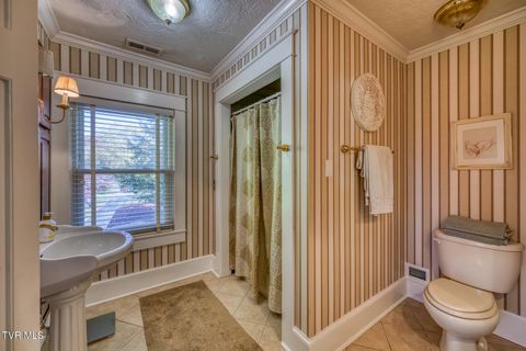 Tiny photo for 1505 W Lakeview Drive, Johnson City, TN 37601 (MLS # 9986476)
