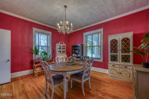 Tiny photo for 1505 W Lakeview Drive, Johnson City, TN 37601 (MLS # 9986476)