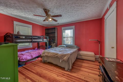 Tiny photo for 1505 W Lakeview Drive, Johnson City, TN 37601 (MLS # 9986476)