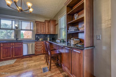 Tiny photo for 1505 W Lakeview Drive, Johnson City, TN 37601 (MLS # 9986476)