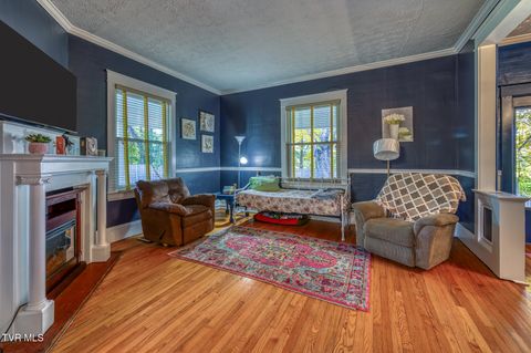 Tiny photo for 1505 W Lakeview Drive, Johnson City, TN 37601 (MLS # 9986476)