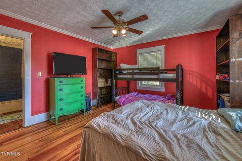 Tiny photo for 1505 W Lakeview Drive, Johnson City, TN 37601 (MLS # 9986476)