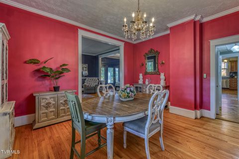 Tiny photo for 1505 W Lakeview Drive, Johnson City, TN 37601 (MLS # 9986476)