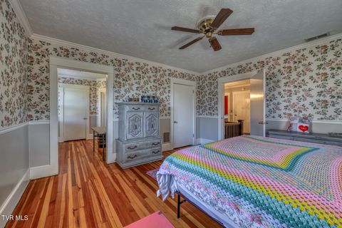 Tiny photo for 1505 W Lakeview Drive, Johnson City, TN 37601 (MLS # 9986476)