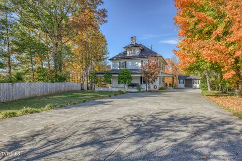 Photo of 1505 W Lakeview Drive, Johnson City, TN 37601 (MLS # 9986476)
