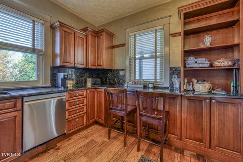 Tiny photo for 1505 W Lakeview Drive, Johnson City, TN 37601 (MLS # 9986476)