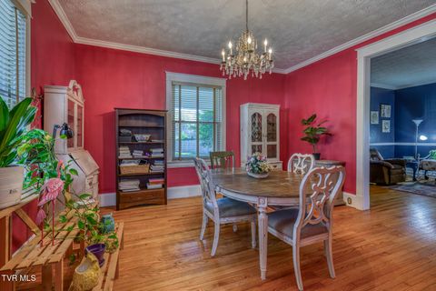 Tiny photo for 1505 W Lakeview Drive, Johnson City, TN 37601 (MLS # 9986476)
