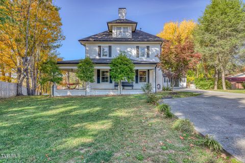 Tiny photo for 1505 W Lakeview Drive, Johnson City, TN 37601 (MLS # 9986476)