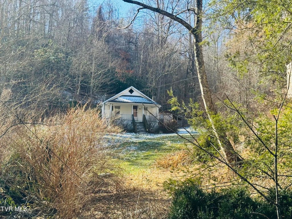 Photo of 220 Whitehead Hollow Road, Roan Mountain, TN 37687 (MLS # 9991240)