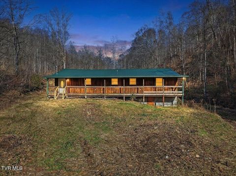 Photo of 313 Rogers Road, Rogersville, TN 37857 (MLS # 9990519)