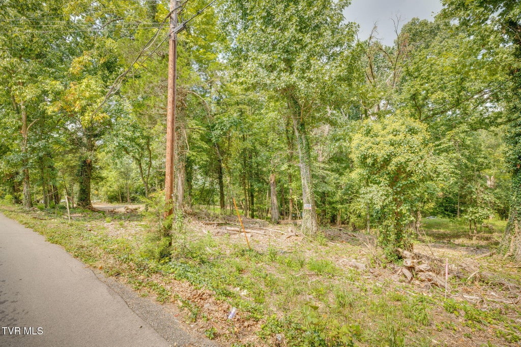 Photo of 3626 Thornton Drive, Kingsport, TN 37664 (MLS # 10000177)