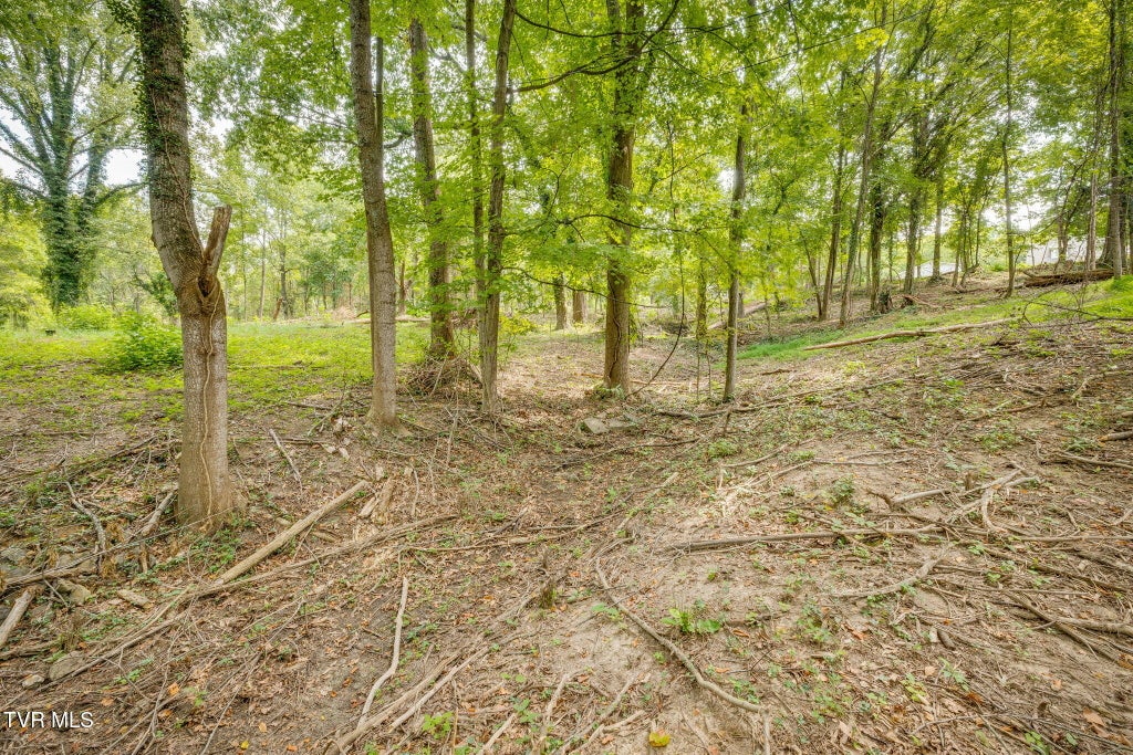 Photo of 3626 Thornton Drive, Kingsport, TN 37664 (MLS # 10000177)