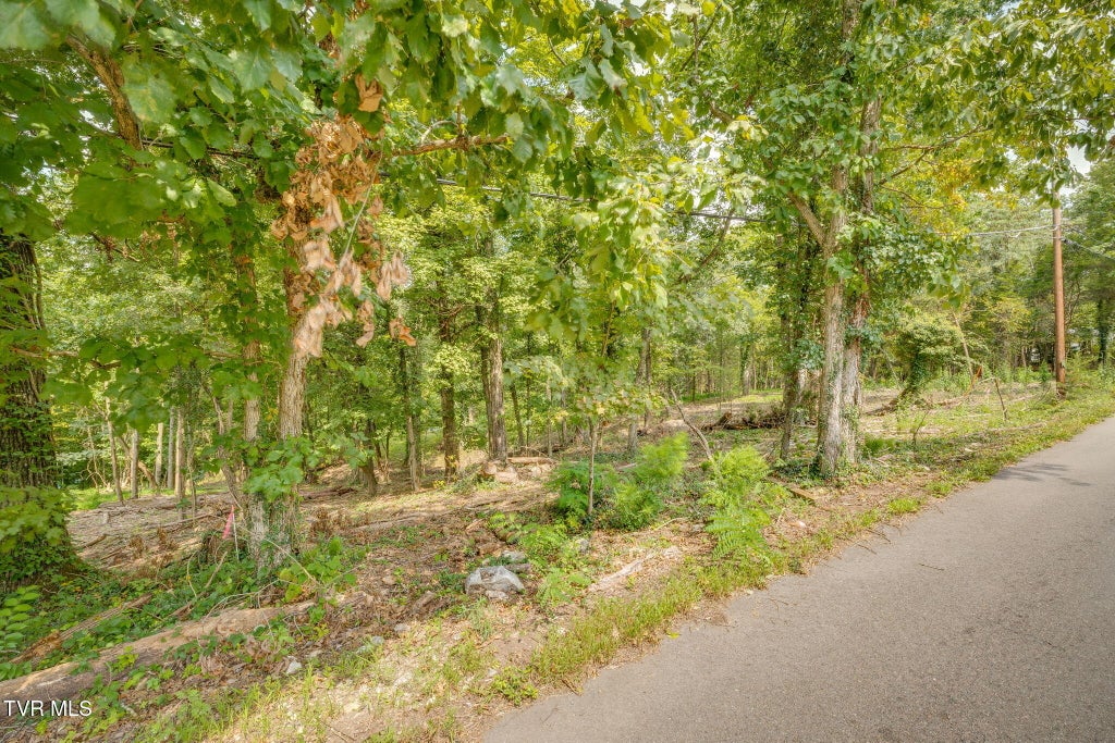 Photo of 3626 Thornton Drive, Kingsport, TN 37664 (MLS # 10000177)