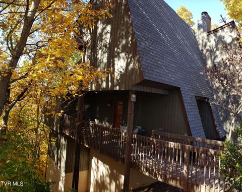 Photo of 323 Hickory Bluff #N/A, Johnson City, TN 37601 (MLS # 9990465)