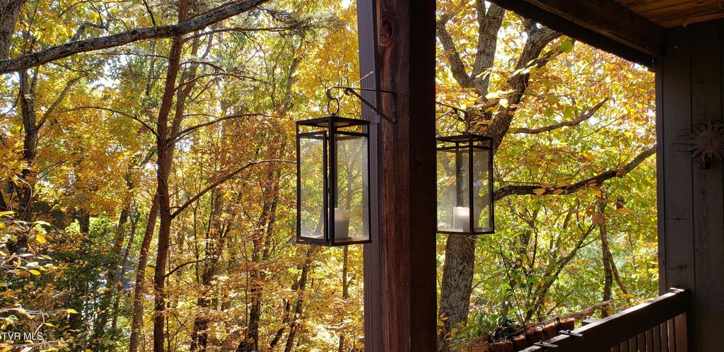 Photo of 323 Hickory Bluff #N/A, Johnson City, TN 37601 (MLS # 9990465)