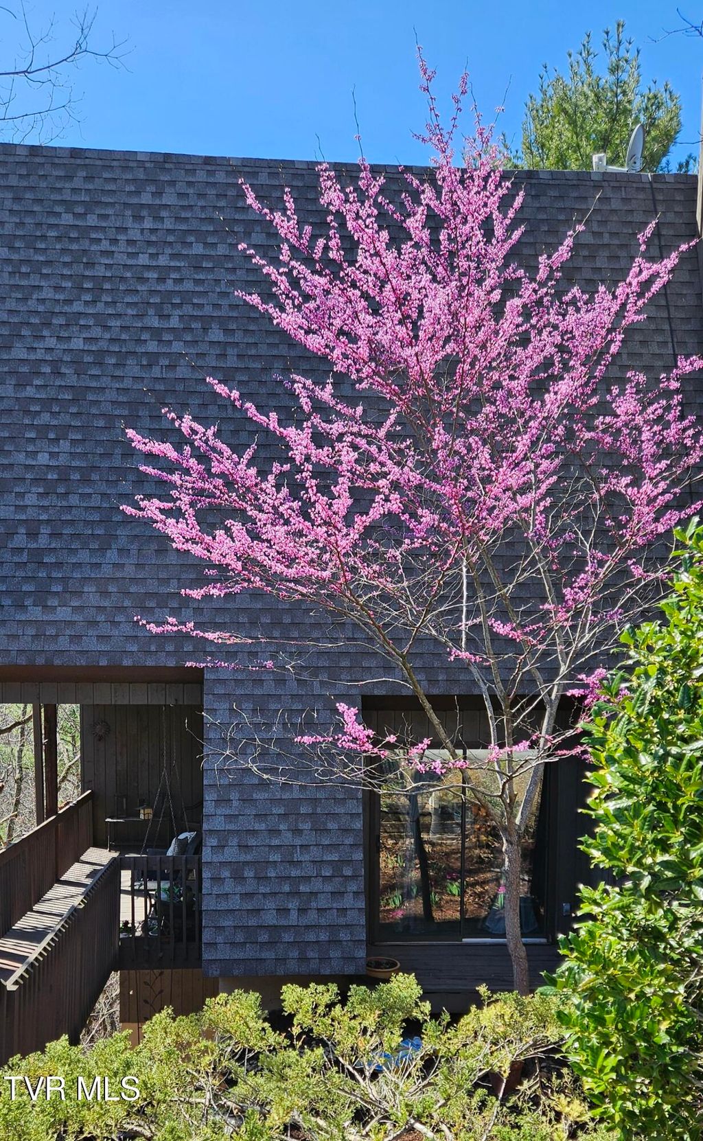 Photo of 323 Hickory Bluff #N/A, Johnson City, TN 37601 (MLS # 9990465)