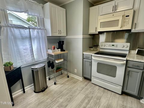 Tiny photo for 1616 Hermitage Drive, Kingsport, TN 37664 (MLS # 9986445)