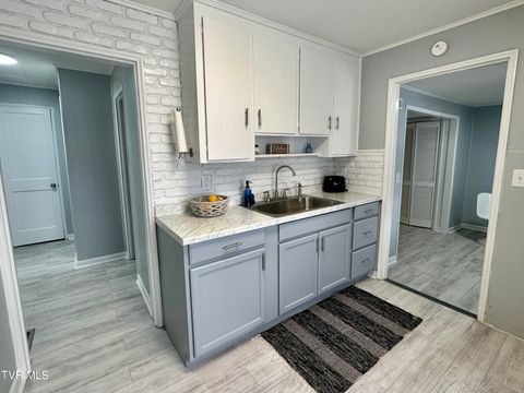 Tiny photo for 1616 Hermitage Drive, Kingsport, TN 37664 (MLS # 9986445)