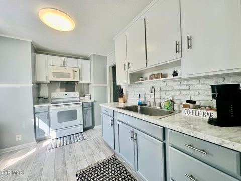 Tiny photo for 1616 Hermitage Drive, Kingsport, TN 37664 (MLS # 9986445)