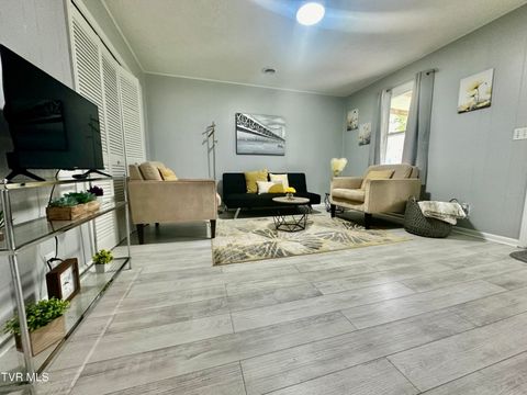 Tiny photo for 1616 Hermitage Drive, Kingsport, TN 37664 (MLS # 9986445)