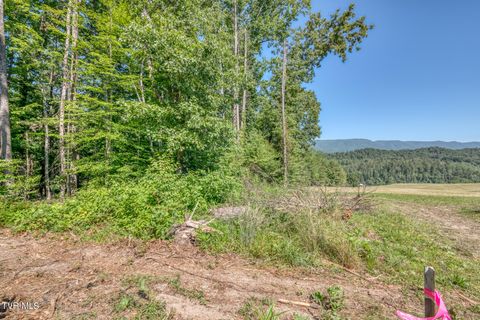 Vacant Land For Sale - TBD Sink Valley Road<br/> Johnson County, Butler, TN 37640
