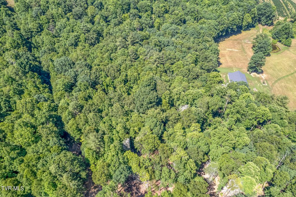 Photo of Tbd Sink Valley Road, Butler, TN 37640 (MLS # 9991540)