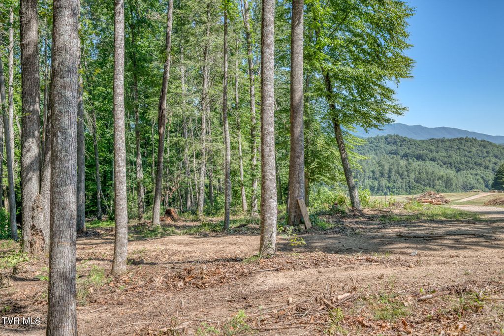Photo of Tbd Sink Valley Road, Butler, TN 37640 (MLS # 9991540)