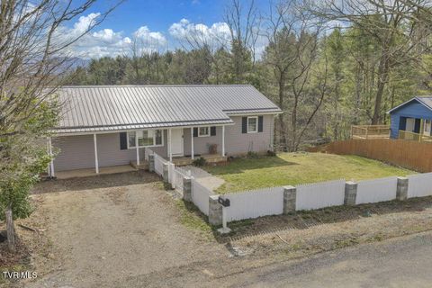 520 Hospital Hill Lane Mountain City TN 37683