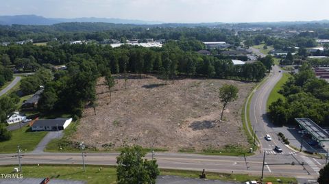 Vacant Land For Sale - TBD Oakland Ave And Princeton Rd<br/> Washington County, Johnson City, TN 37601
