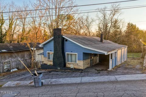 Photo of 1116 5th Street, Bristol, TN 37620 (MLS # 9989063)