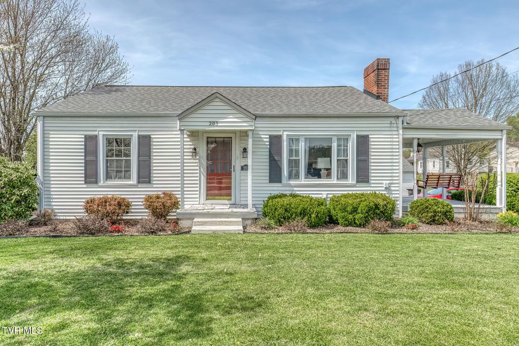 Photo of 203 School Avenue, Blountville, TN 37617 (MLS # 9993628)