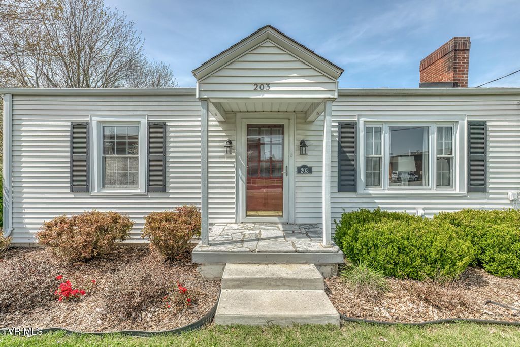 Photo of 203 School Avenue, Blountville, TN 37617 (MLS # 9993628)