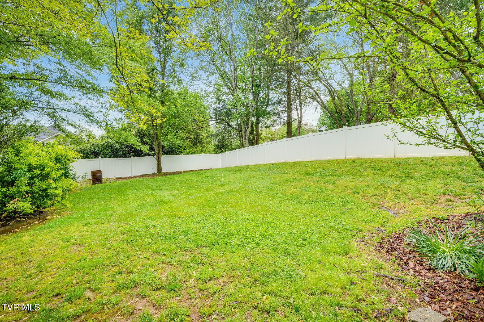 604 Live Oak Court, Johnson City, Tennessee image 49