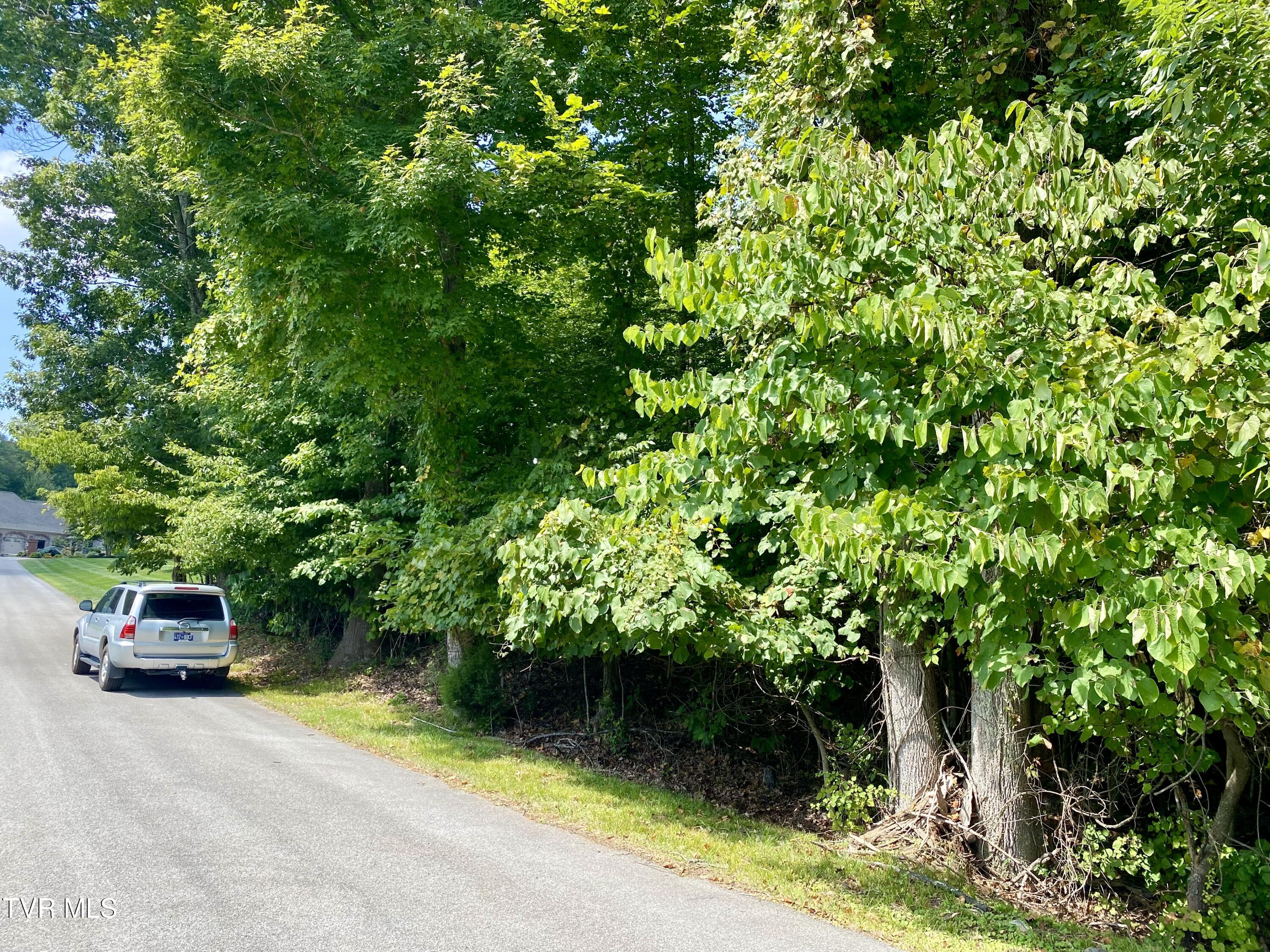 1234 Ridgetop Trail, Kingsport, Tennessee image 8
