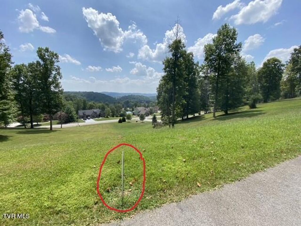 Photo of 1234 Ridgetop Trail, Kingsport, TN 37664 (MLS # 9970618)