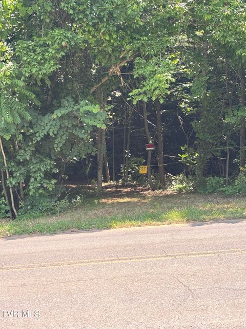 Vacant Land For Sale - TBD Okolona Road<br/> Church Hill, TN 37642
