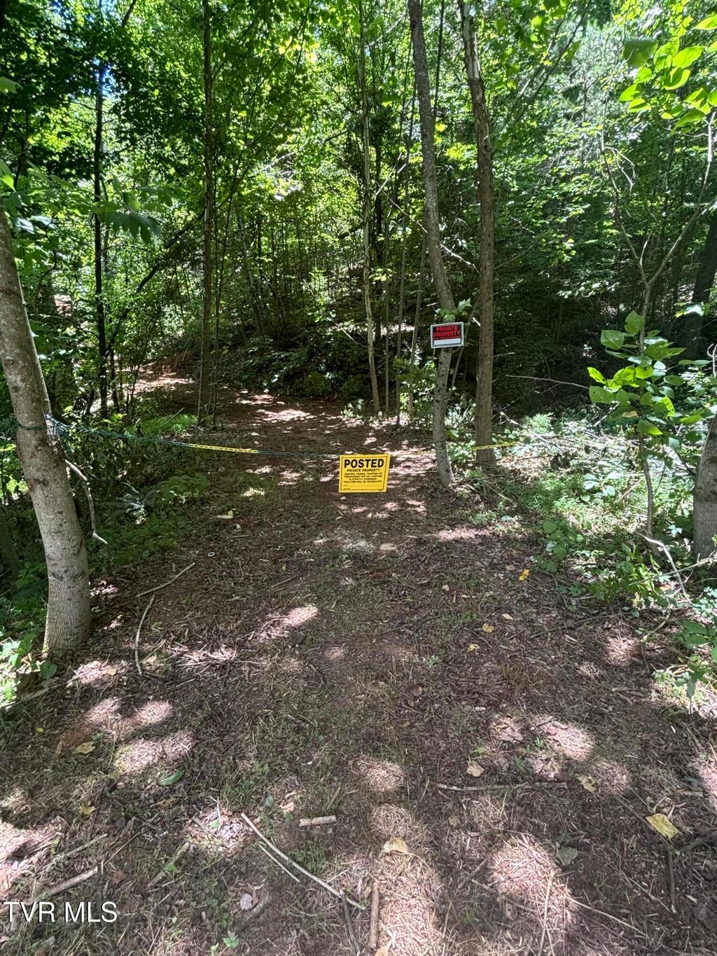 Photo of Tbd Okolona Road, Church Hill, TN 37642 (MLS # 9997148)