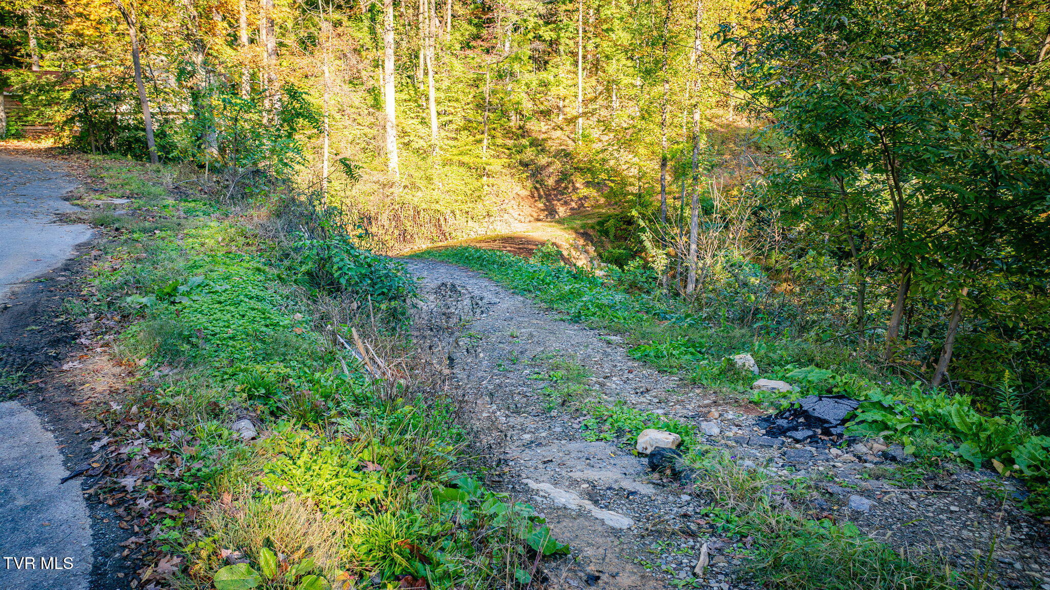 Tbd Lot 119 Saratoga Circle