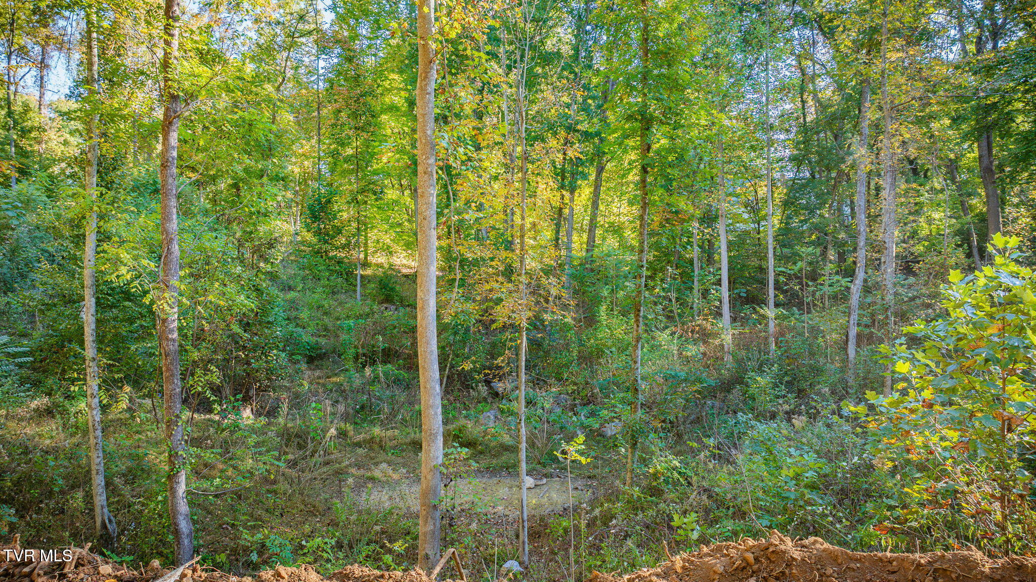 Tbd Lot 119 Saratoga Circle